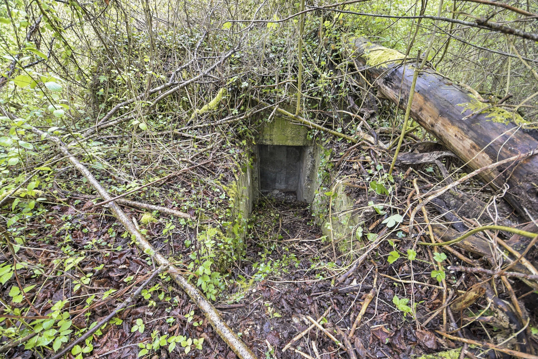 Ligne Maginot - POLDER D'ERSTEIN 2 - (Blockhaus pour arme infanterie) - 
