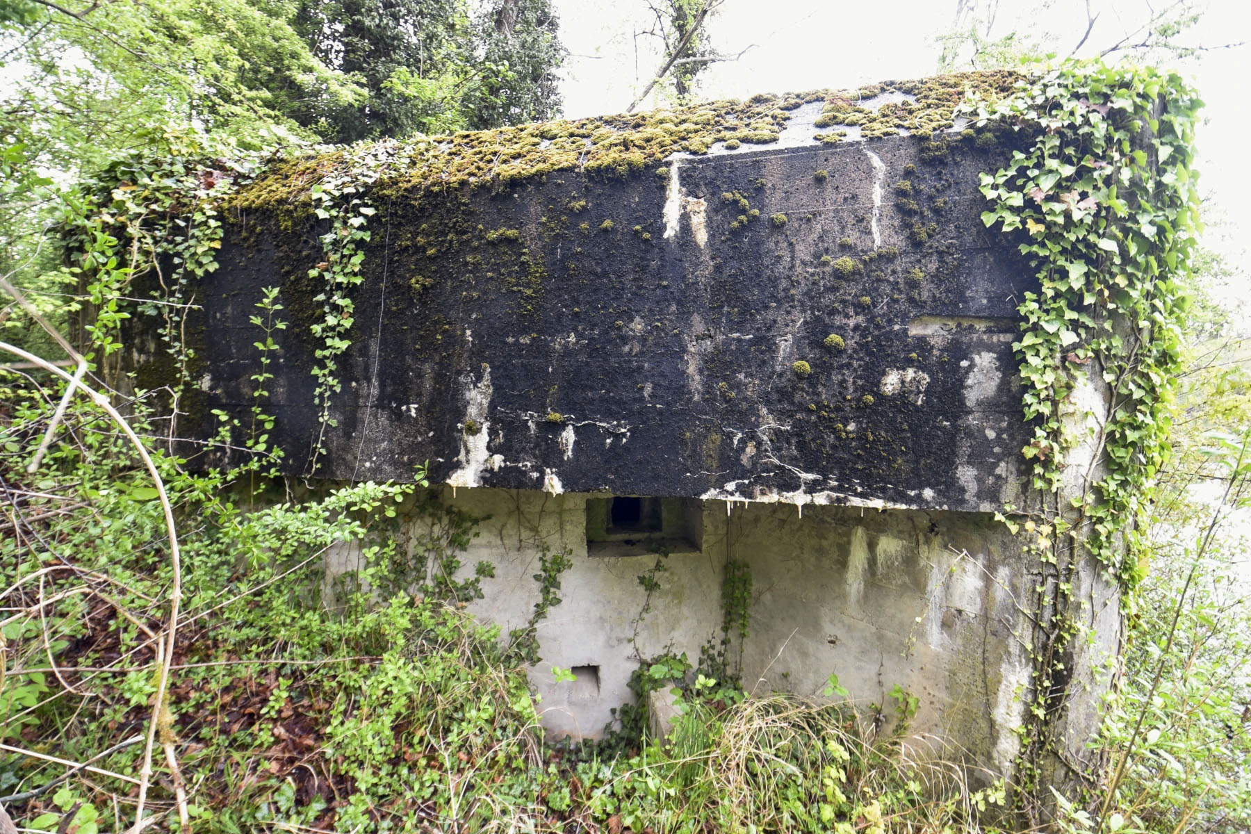 Ligne Maginot - POLDER D'ERSTEIN 1 - (Blockhaus pour arme infanterie) - 
