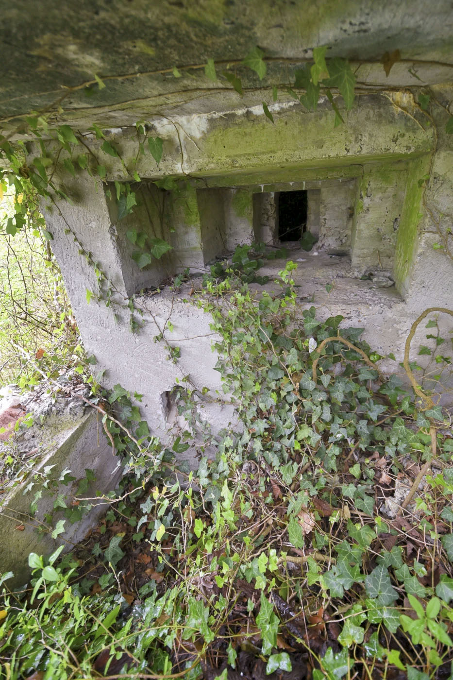 Ligne Maginot - POLDER D'ERSTEIN 1 - (Blockhaus pour arme infanterie) - 
