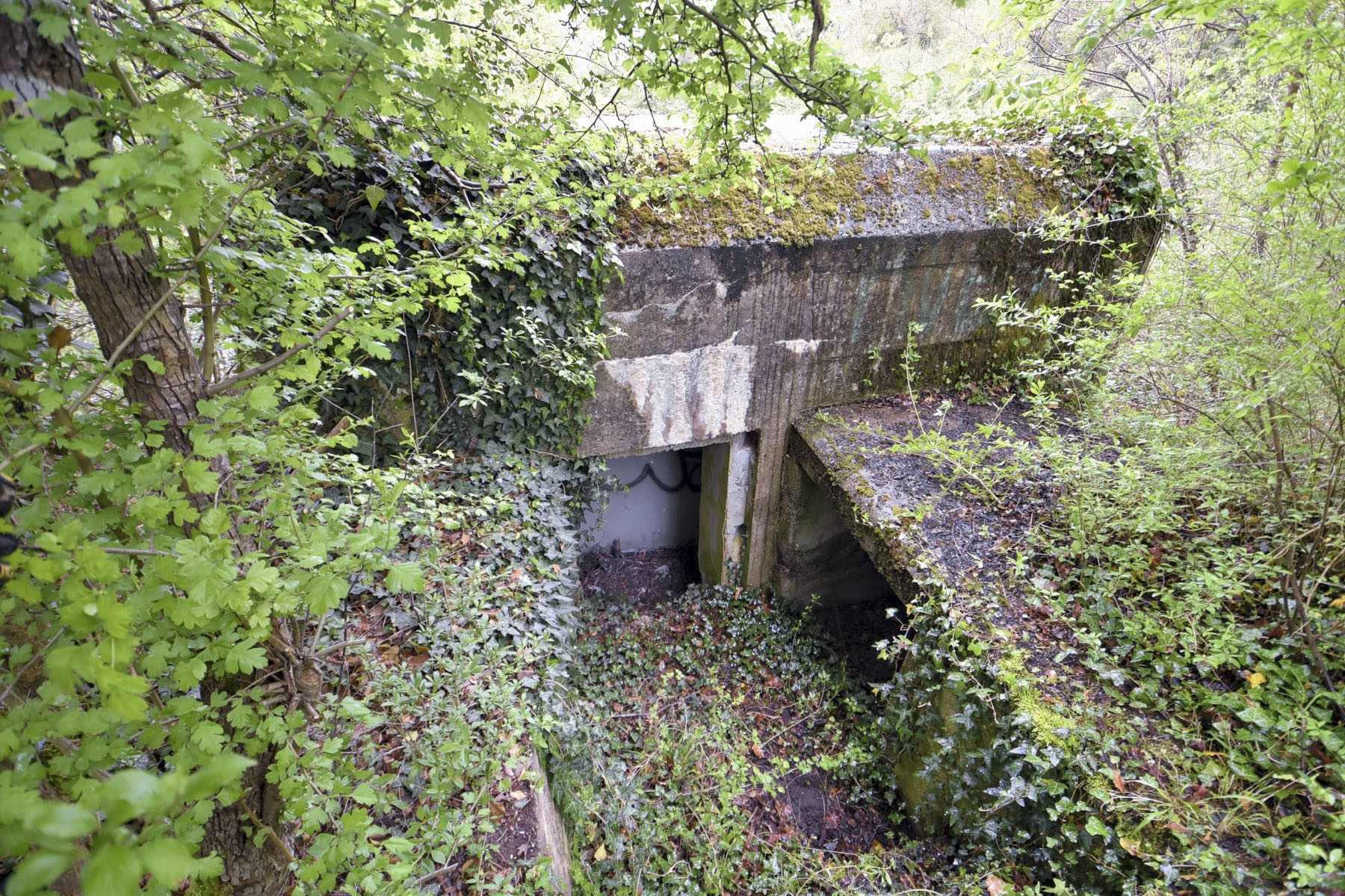 Ligne Maginot - POLDER D'ERSTEIN 1 - (Blockhaus pour arme infanterie) - 