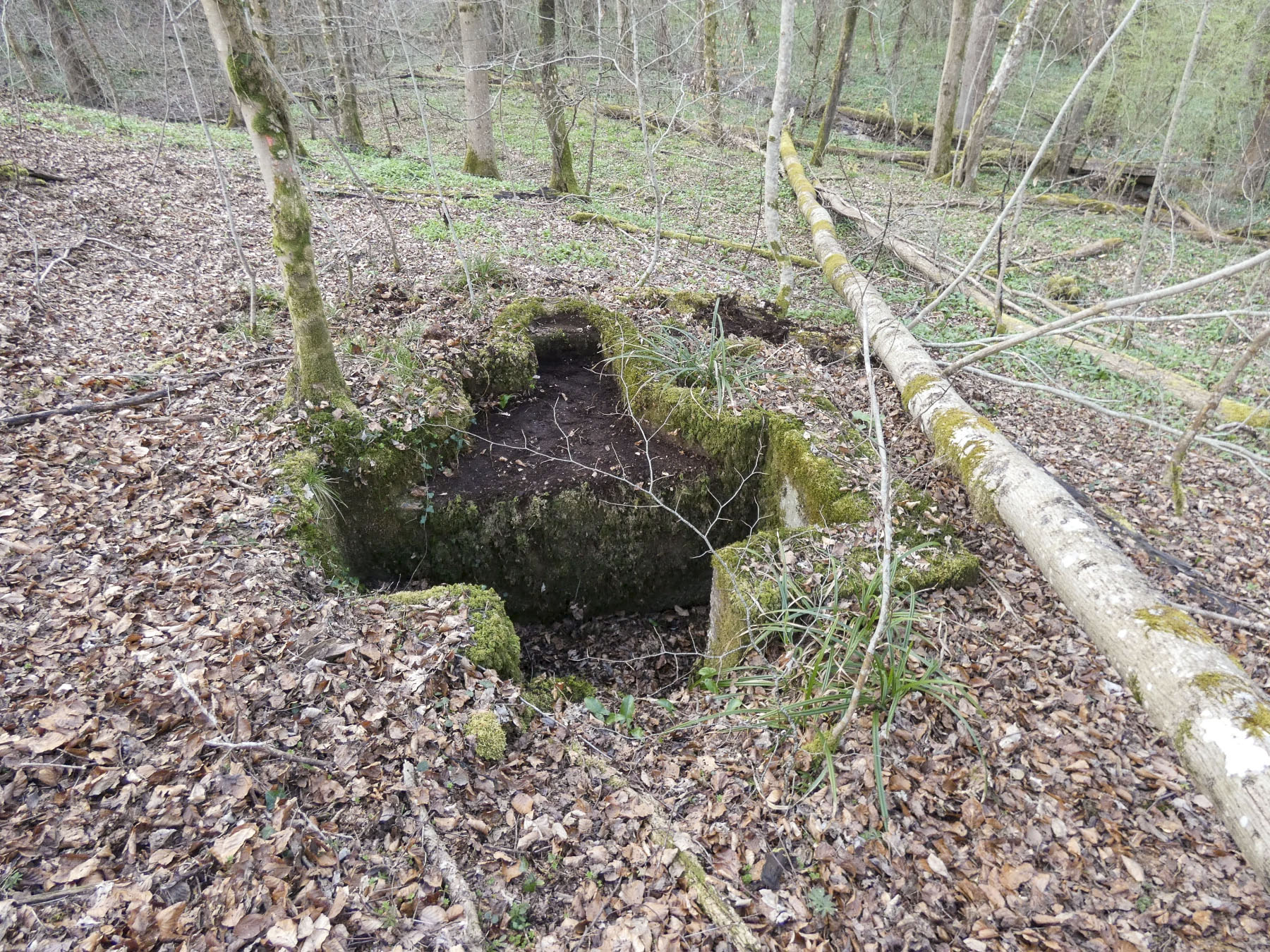 Ligne Maginot - KOENIGSBRUCK NORD 1 - (Cuve pour arme d'infanterie) - La cuve dégagée.