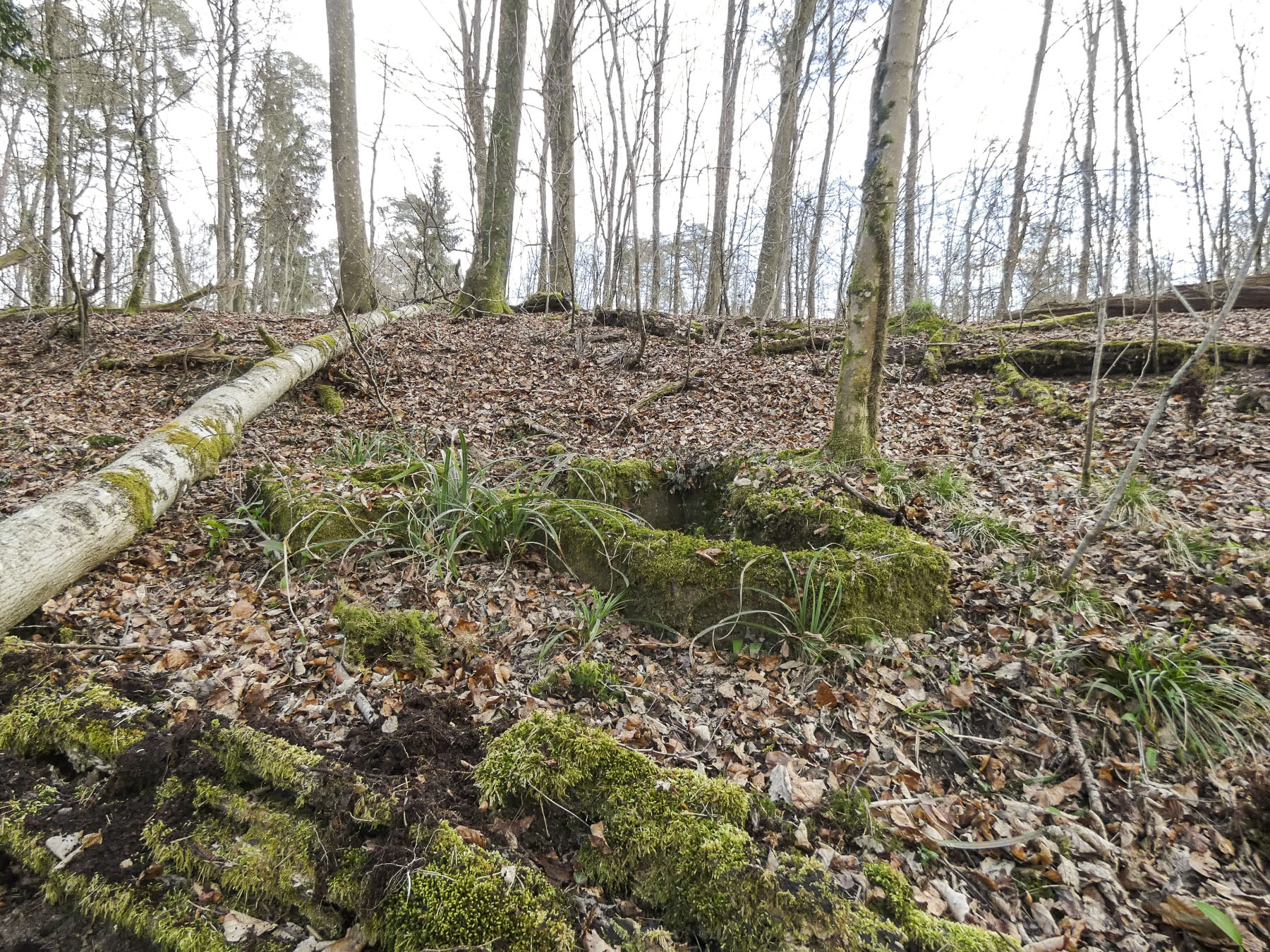 Ligne Maginot - KOENIGSBRUCK NORD 1 - (Cuve pour arme d'infanterie) - 