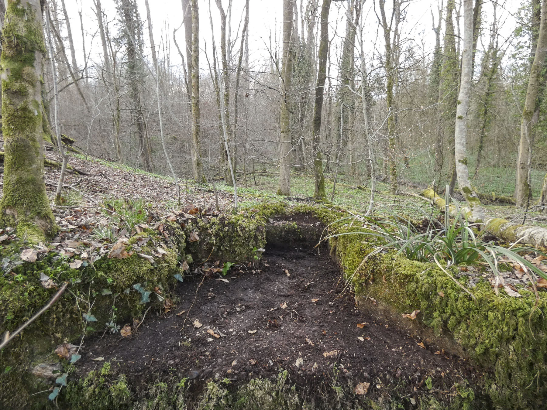 Ligne Maginot - KOENIGSBRUCK NORD 1 - (Cuve pour arme d'infanterie) - Le champ de tir.