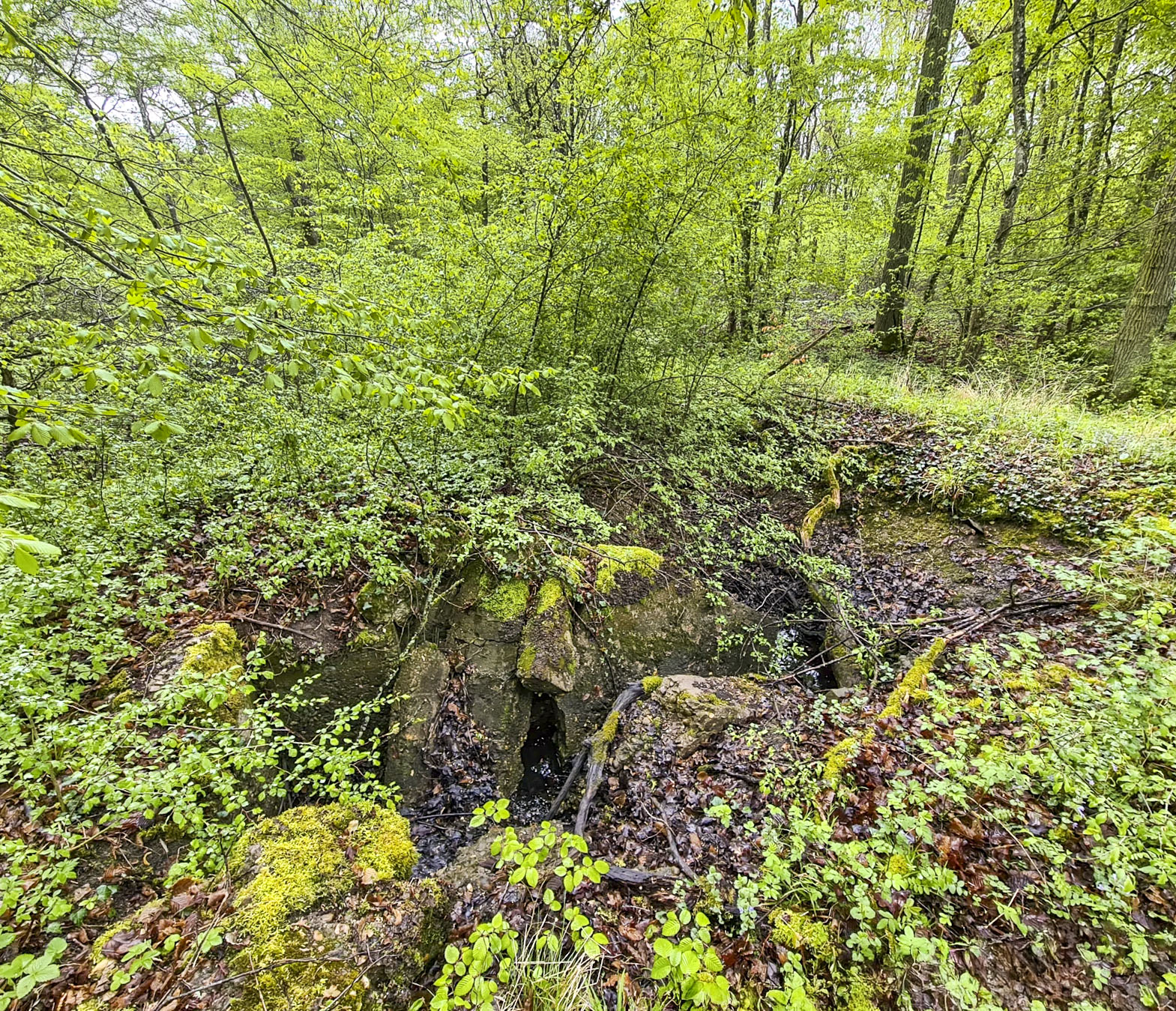Ligne Maginot - NONNENWALD 12 - (Blockhaus de type indéterminé) - 
