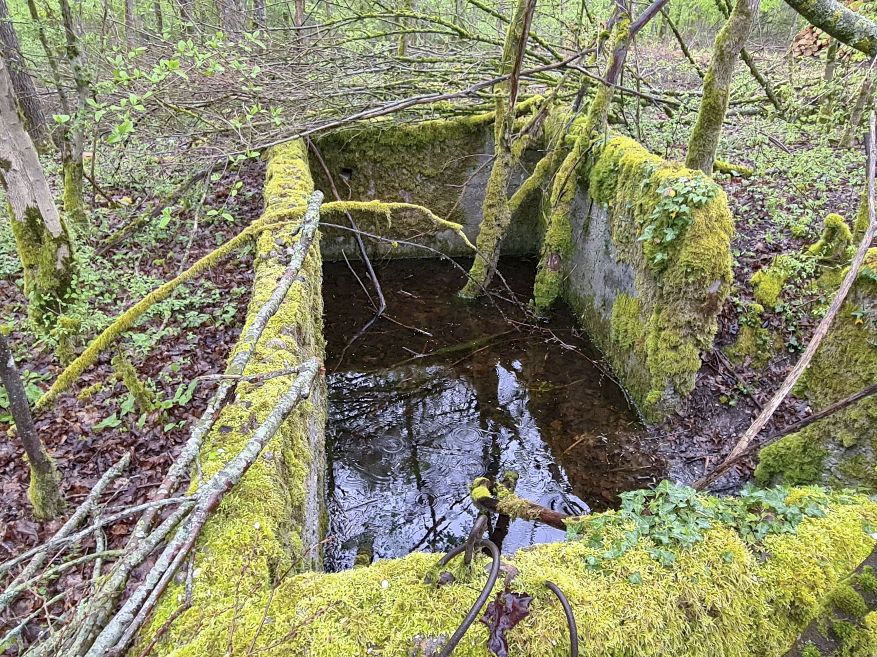 Ligne Maginot - NONNENWALD 11TER - (Blockhaus de type indéterminé) - 