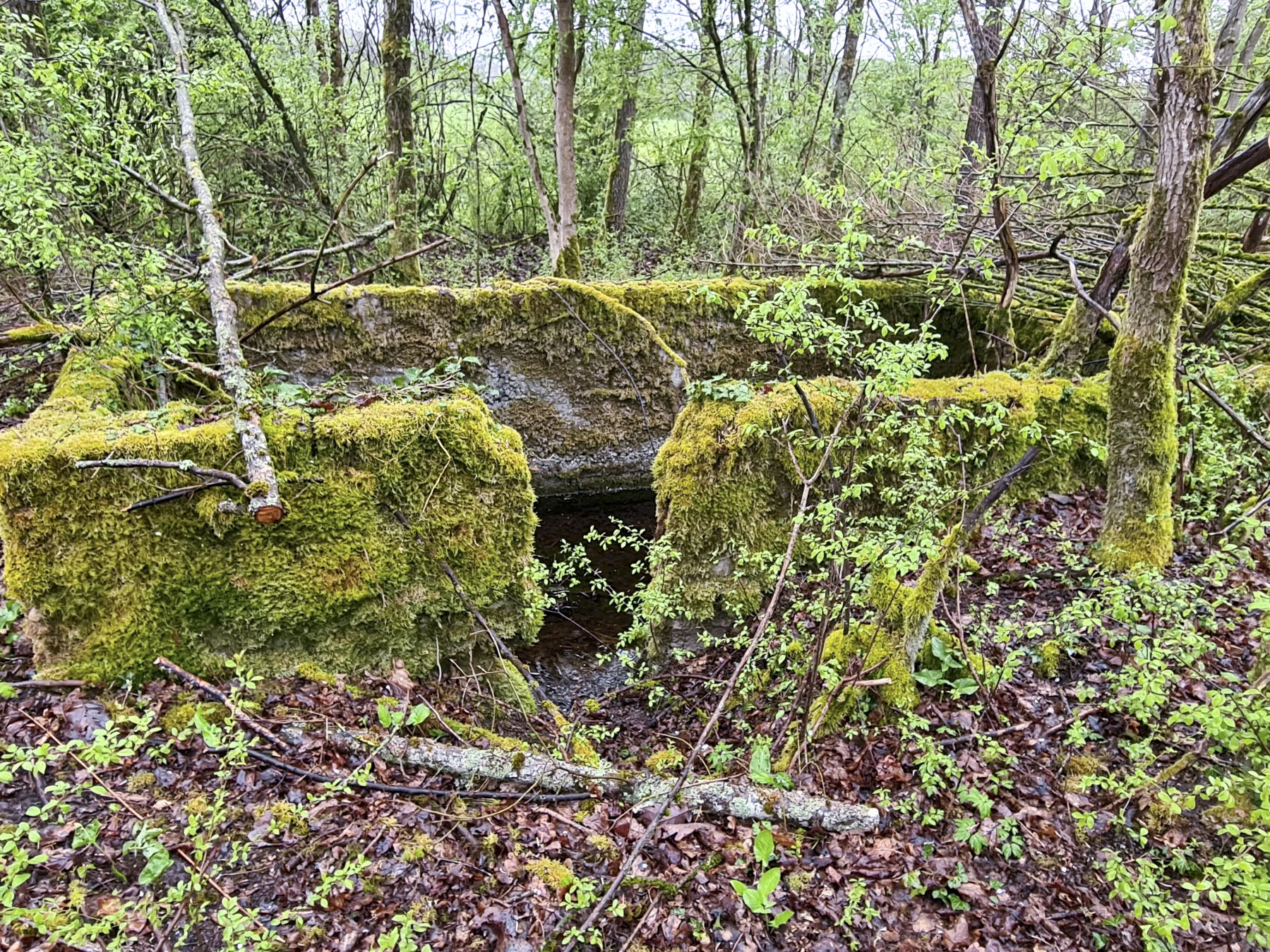 Ligne Maginot - NONNENWALD 11TER - (Blockhaus de type indéterminé) - 