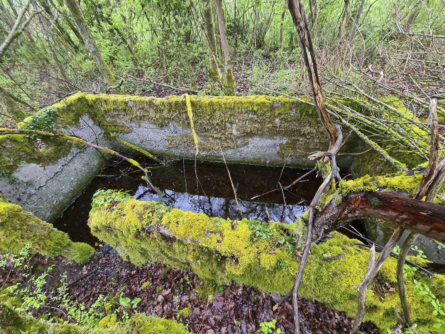 Ligne Maginot - NONNENWALD 11TER - (Blockhaus de type indéterminé) - 