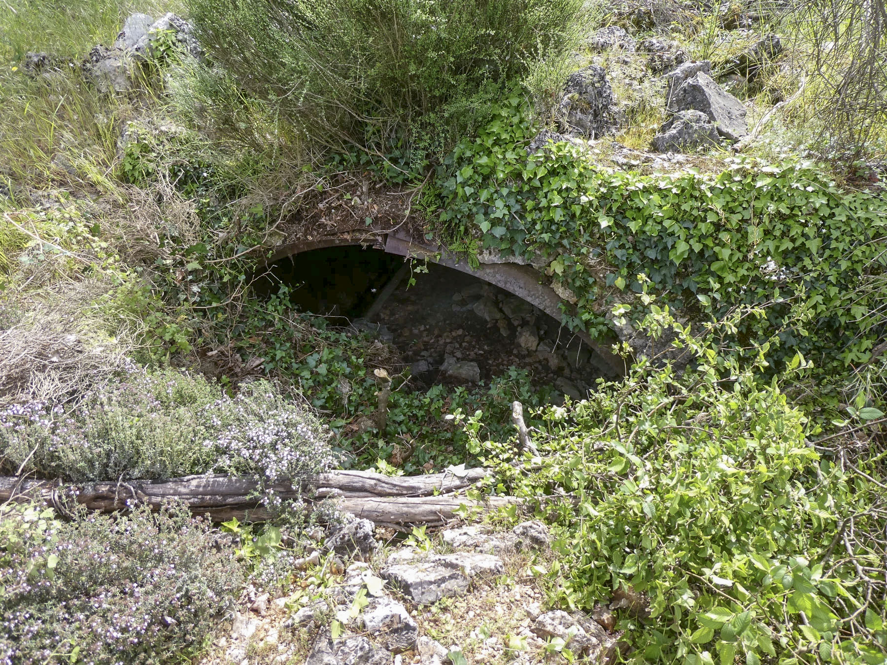 Ligne Maginot - PITSOLA CENTRE - (Abri) - 