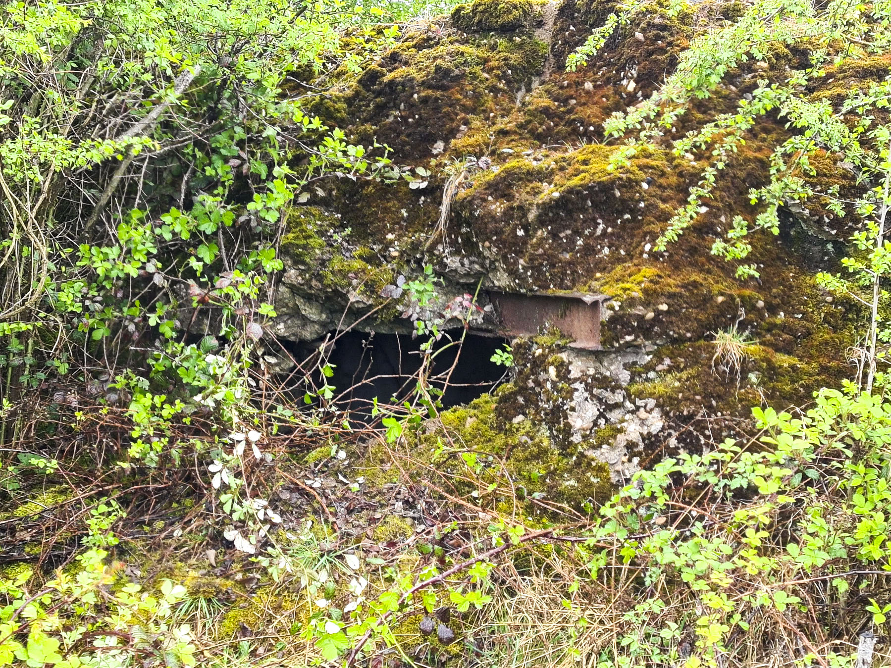 Ligne Maginot - NONNENWALD 5 - (Blockhaus pour arme infanterie) - 