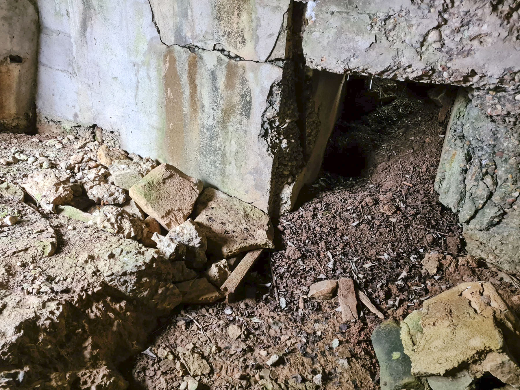 Ligne Maginot - NONNENWALD 5 - (Blockhaus pour arme infanterie) - 