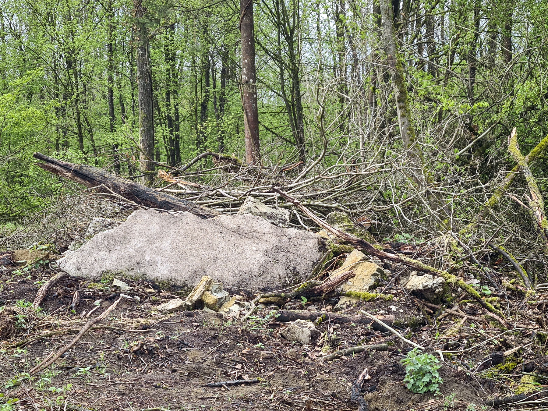 Ligne Maginot - NONNENWALD 9 - (Blockhaus de type indéterminé) - 
