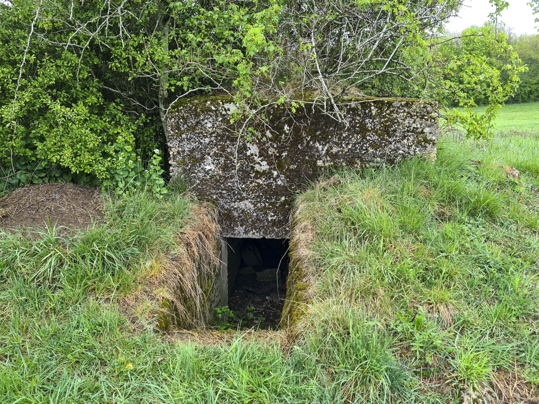 Ligne Maginot - NONNENWALD 6 - (Blockhaus pour arme infanterie) - 