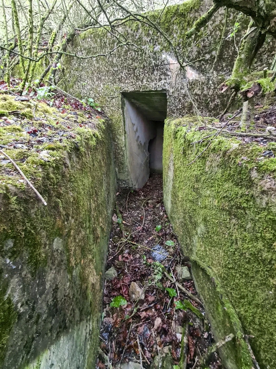 Ligne Maginot - KALKOFEN 3 - (Blockhaus pour arme infanterie) - 