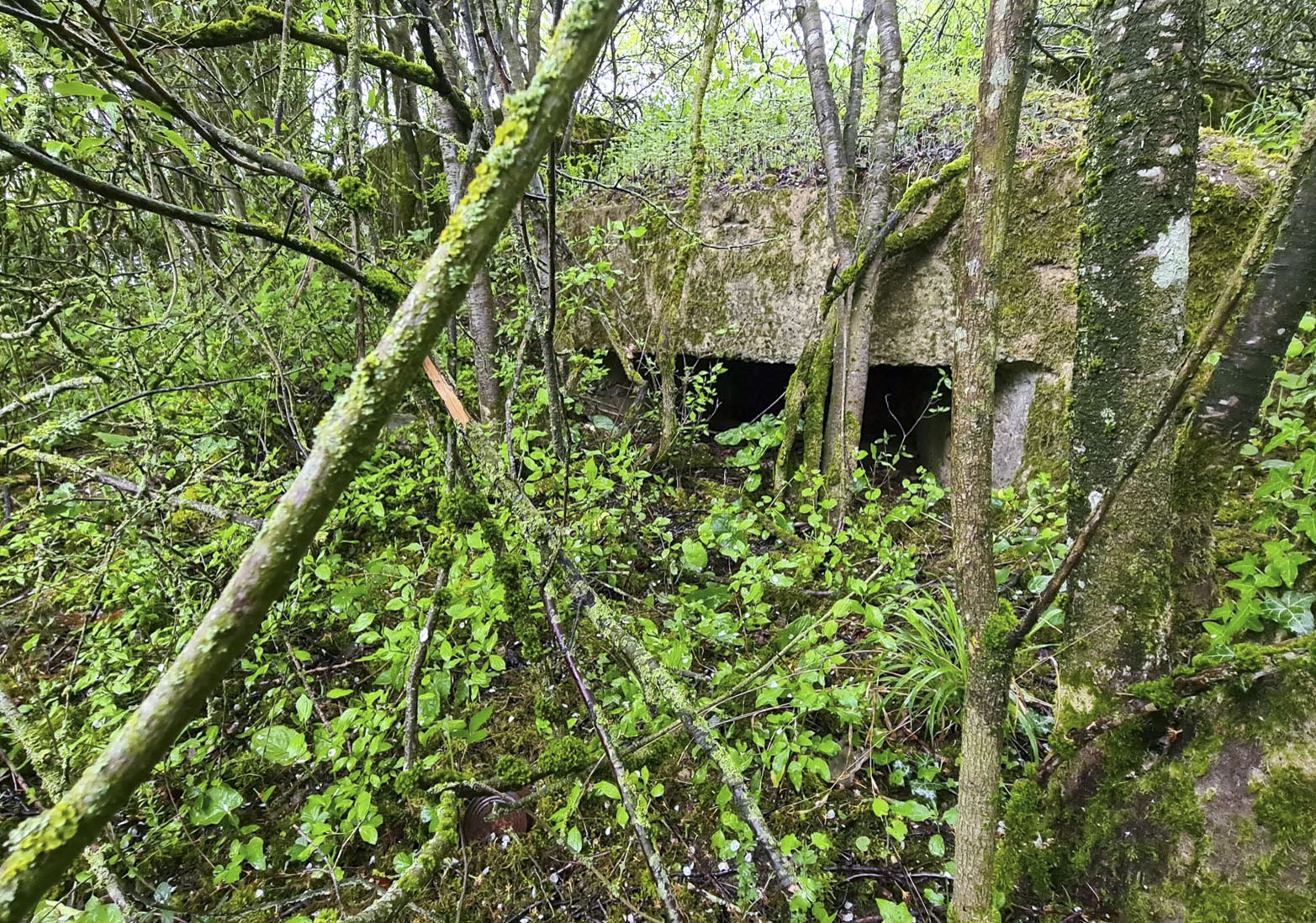 Ligne Maginot - KALKOFEN 3 - (Blockhaus pour arme infanterie) - 