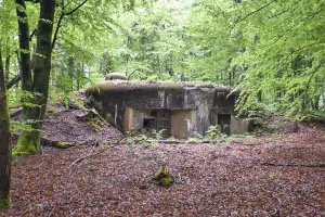 Ligne Maginot - TRAUTBACH EST - (Blockhaus pour arme infanterie) - Vue générale