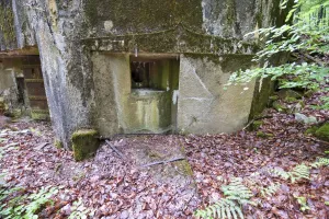Ligne Maginot - TRAUTBACH EST - (Blockhaus pour arme infanterie) - 