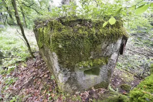 Ligne Maginot - FM47 - NONNENHARDT EST 4 - (Blockhaus pour arme infanterie) - 