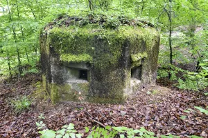 Ligne Maginot - FM30 - NONNENHARDT EST 2 - (Blockhaus pour arme infanterie) - 
