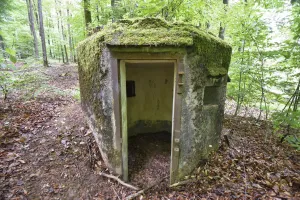 Ligne Maginot - FM30 - NONNENHARDT EST 2 - (Blockhaus pour arme infanterie) - 