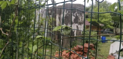 Ligne Maginot - BEF 697 - CHAPELLE MADAME - (Blockhaus pour canon) - 