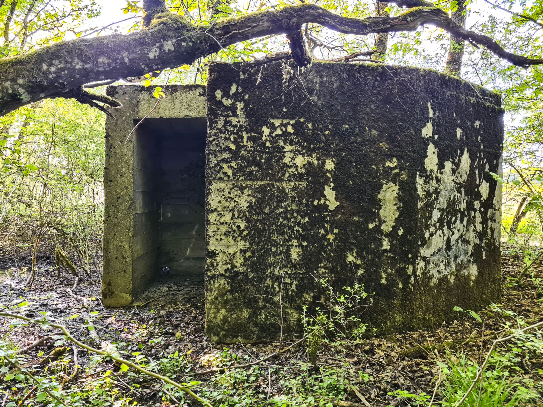 Ligne Maginot - SCHIRMENSTUDEN 13 - (Blockhaus pour arme infanterie) - 