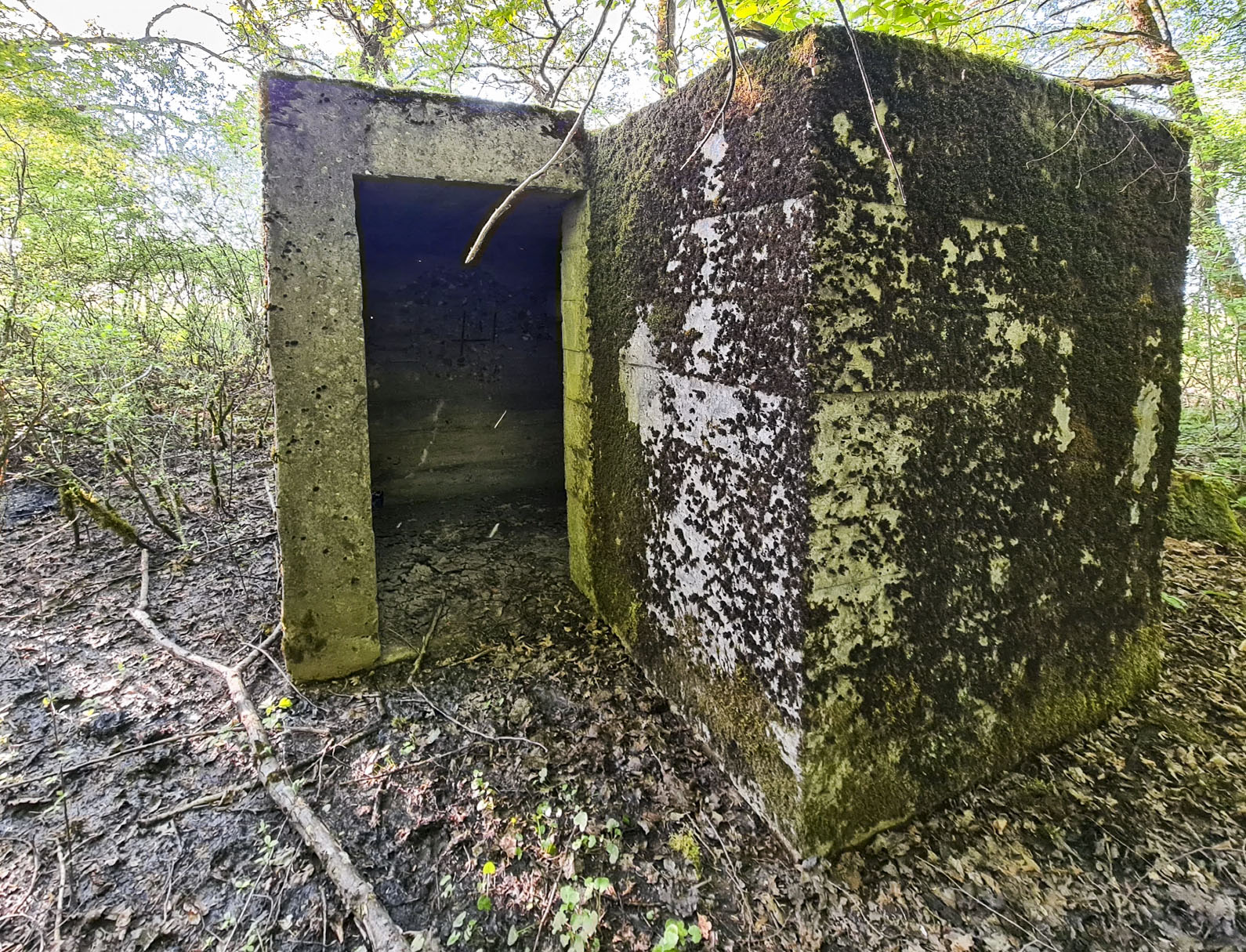 Ligne Maginot - SCHIRMENSTUDEN 13 - (Blockhaus pour arme infanterie) - 