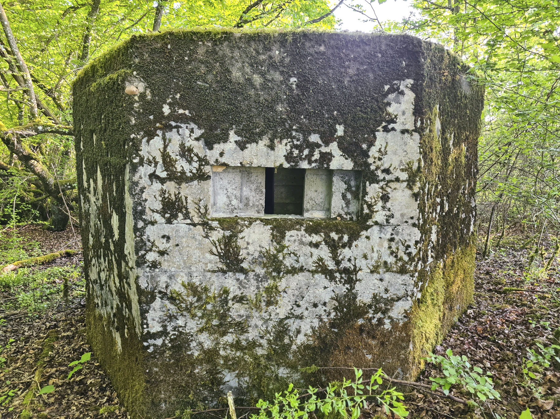 Ligne Maginot - SCHIRMENSTUDEN 13 - (Blockhaus pour arme infanterie) - 