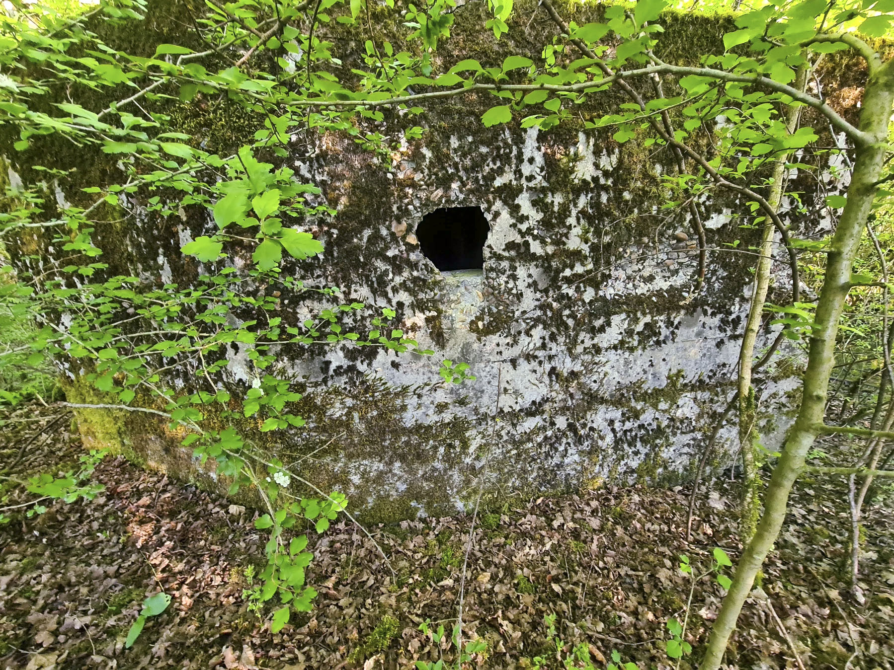 Ligne Maginot - SCHIRMENSTUDEN 13 - (Blockhaus pour arme infanterie) - 
