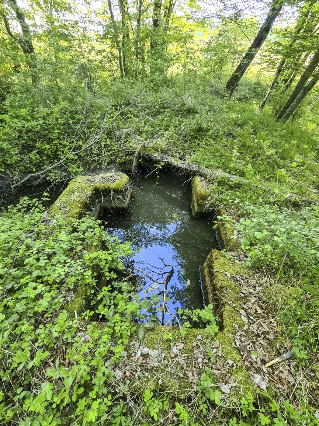 Ligne Maginot - SCHIRMENSTUDEN 8 - (Cuve pour arme d'infanterie) - 