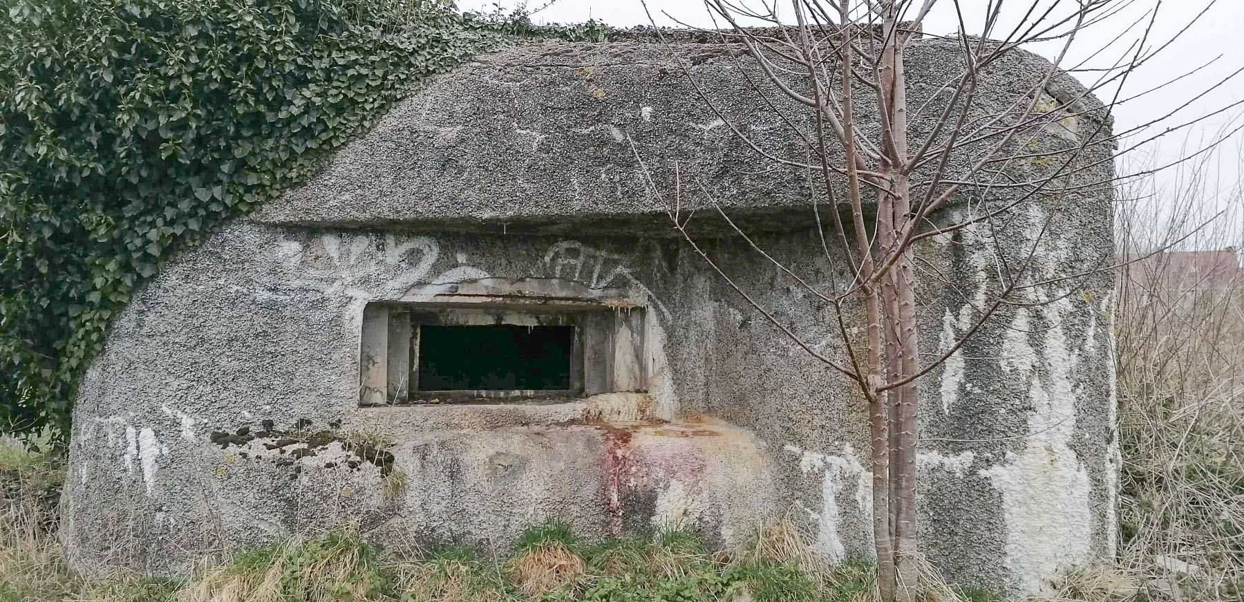 Ligne Maginot - B301 - LE CAMBUIS - (Blockhaus pour canon) - 