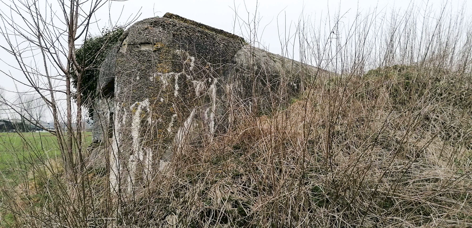 Ligne Maginot - B301 - LE CAMBUIS - (Blockhaus pour canon) - 