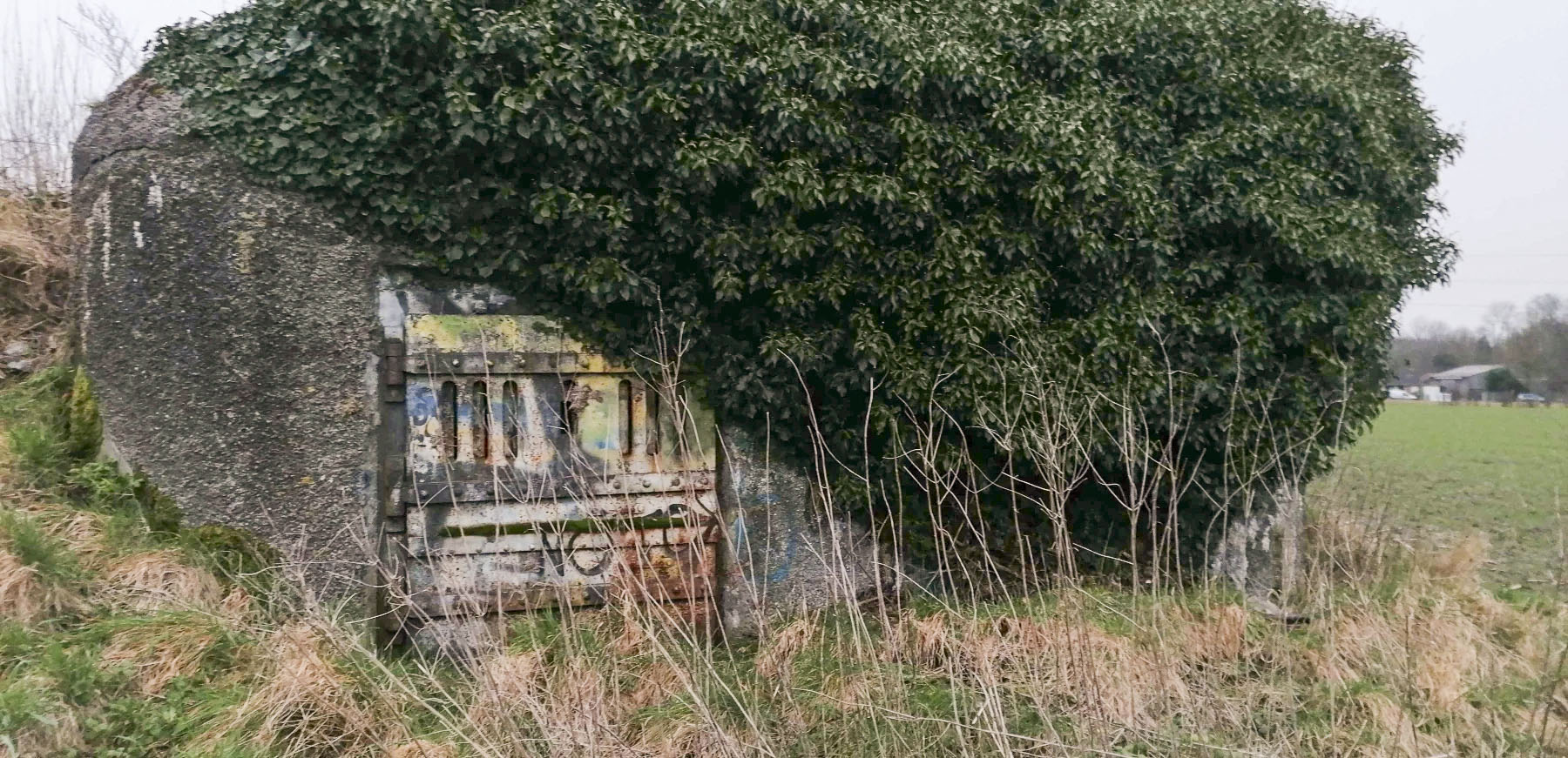 Ligne Maginot - B301 - LE CAMBUIS - (Blockhaus pour canon) - 