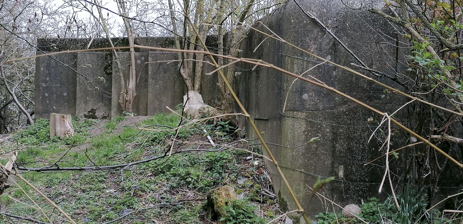 Ligne Maginot - BEF 268 - LA TRIBONNERIE NORD 1 - (Blockhaus pour canon) - 