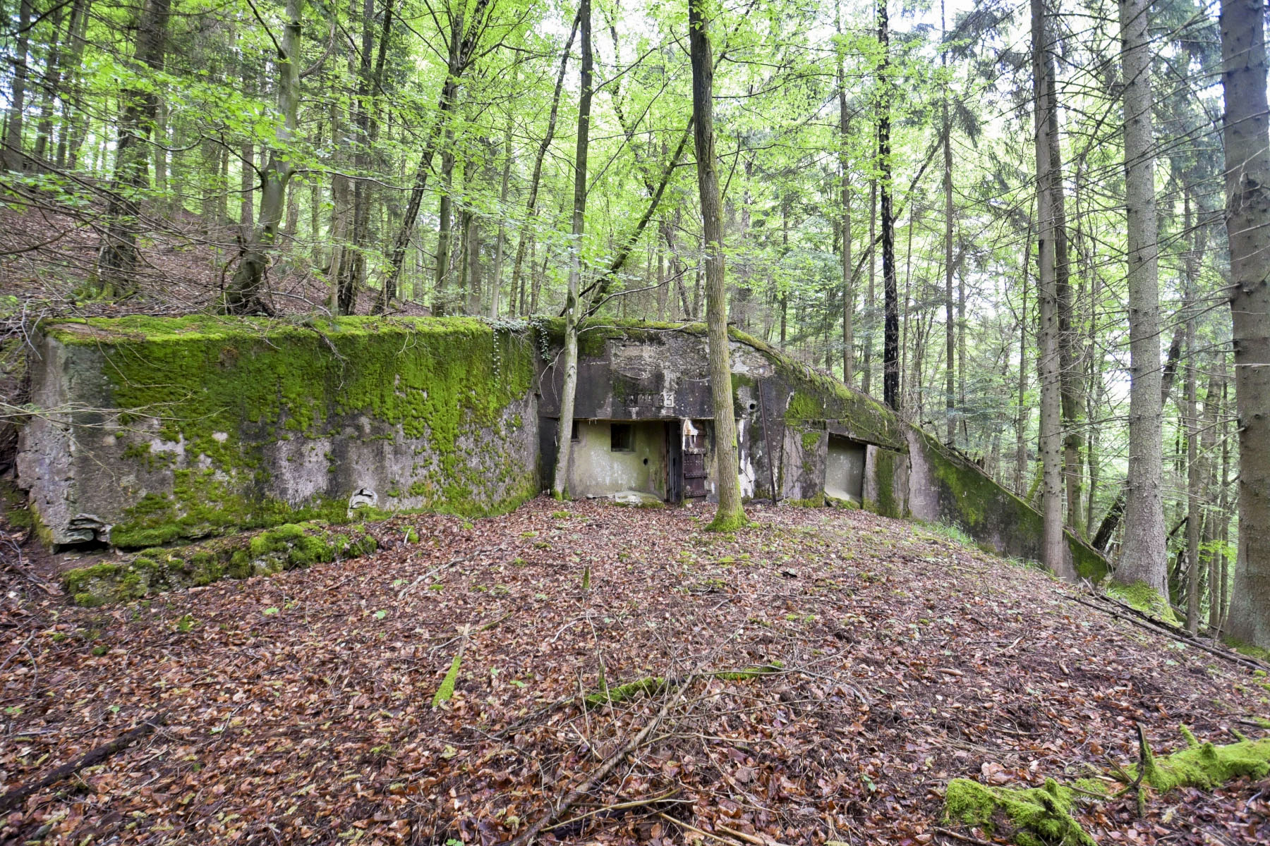 Ligne Maginot - NONNENHARDT N°5 - (Blockhaus pour arme infanterie) - 