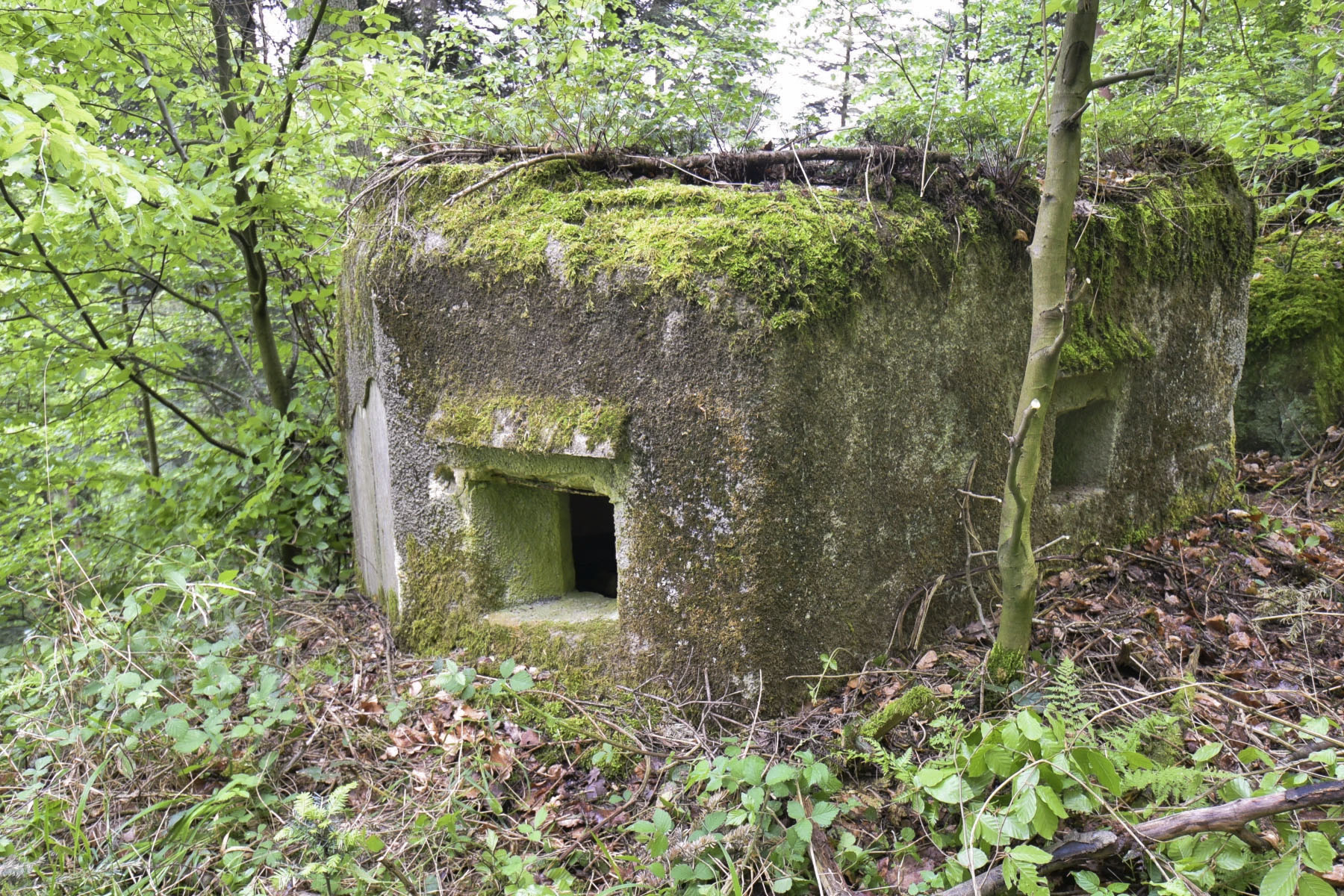 Ligne Maginot - FM47 - NONNENHARDT EST 4 - (Blockhaus pour arme infanterie) - 