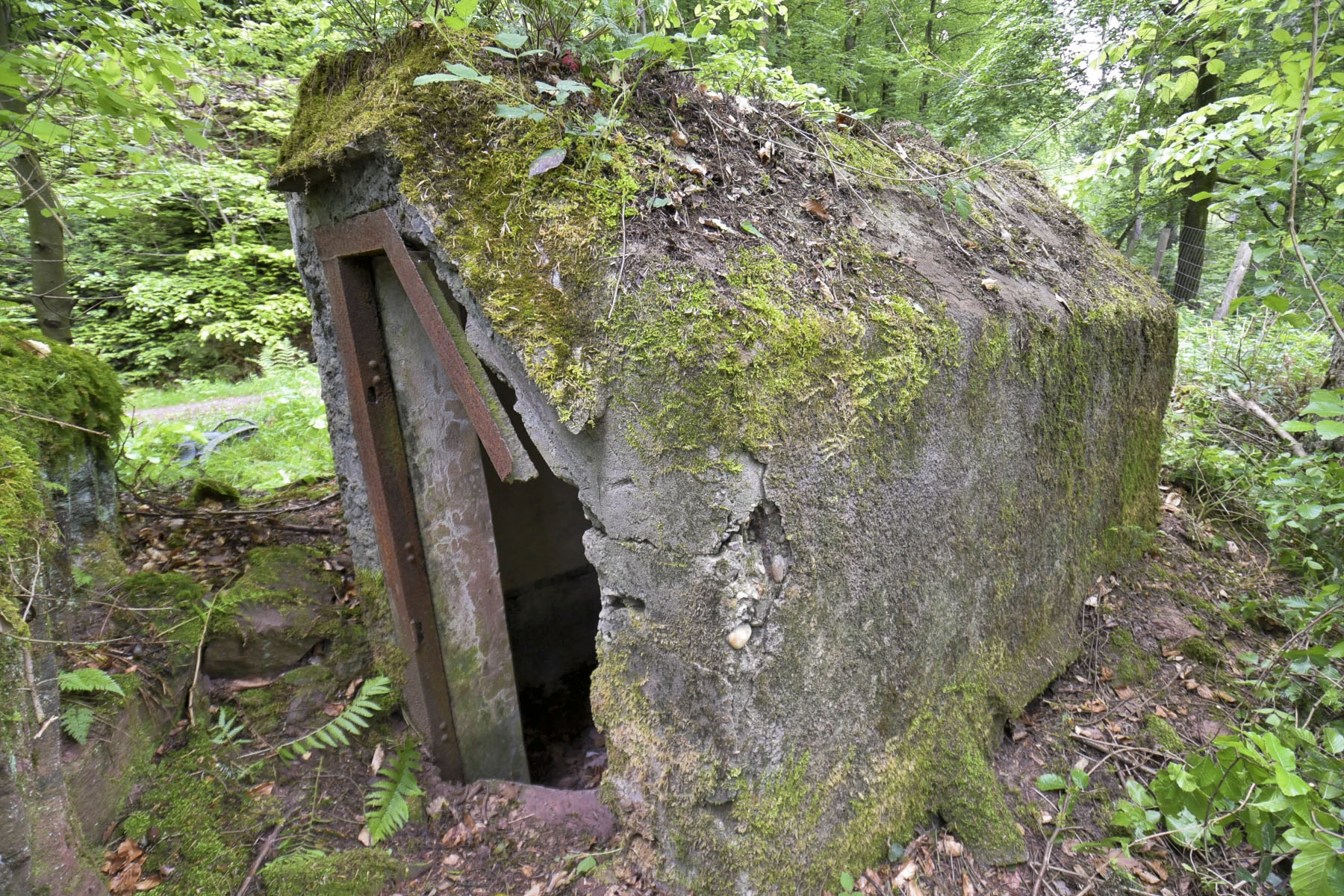 Ligne Maginot - FM47 - NONNENHARDT EST 4 - (Blockhaus pour arme infanterie) - 