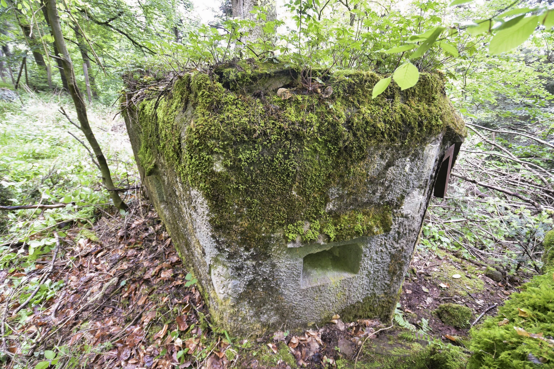 Ligne Maginot - FM47 - NONNENHARDT EST 4 - (Blockhaus pour arme infanterie) - 
