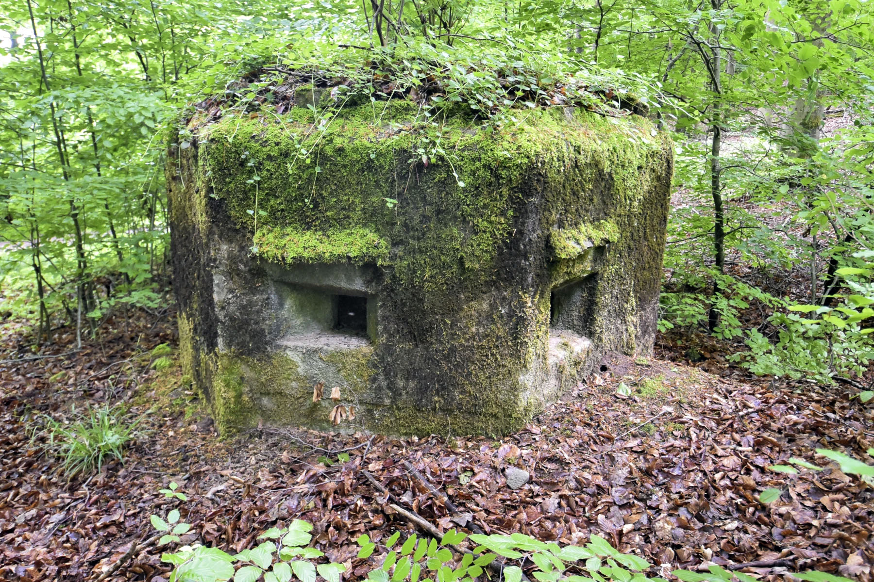 Ligne Maginot - FM30 - NONNENHARDT EST 2 - (Blockhaus pour arme infanterie) - 