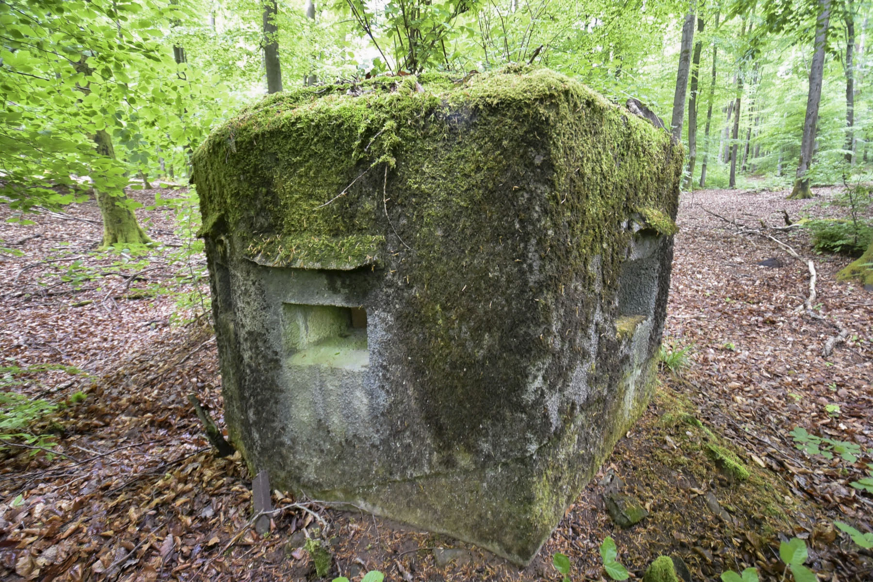 Ligne Maginot - FM30 - NONNENHARDT EST 2 - (Blockhaus pour arme infanterie) - 