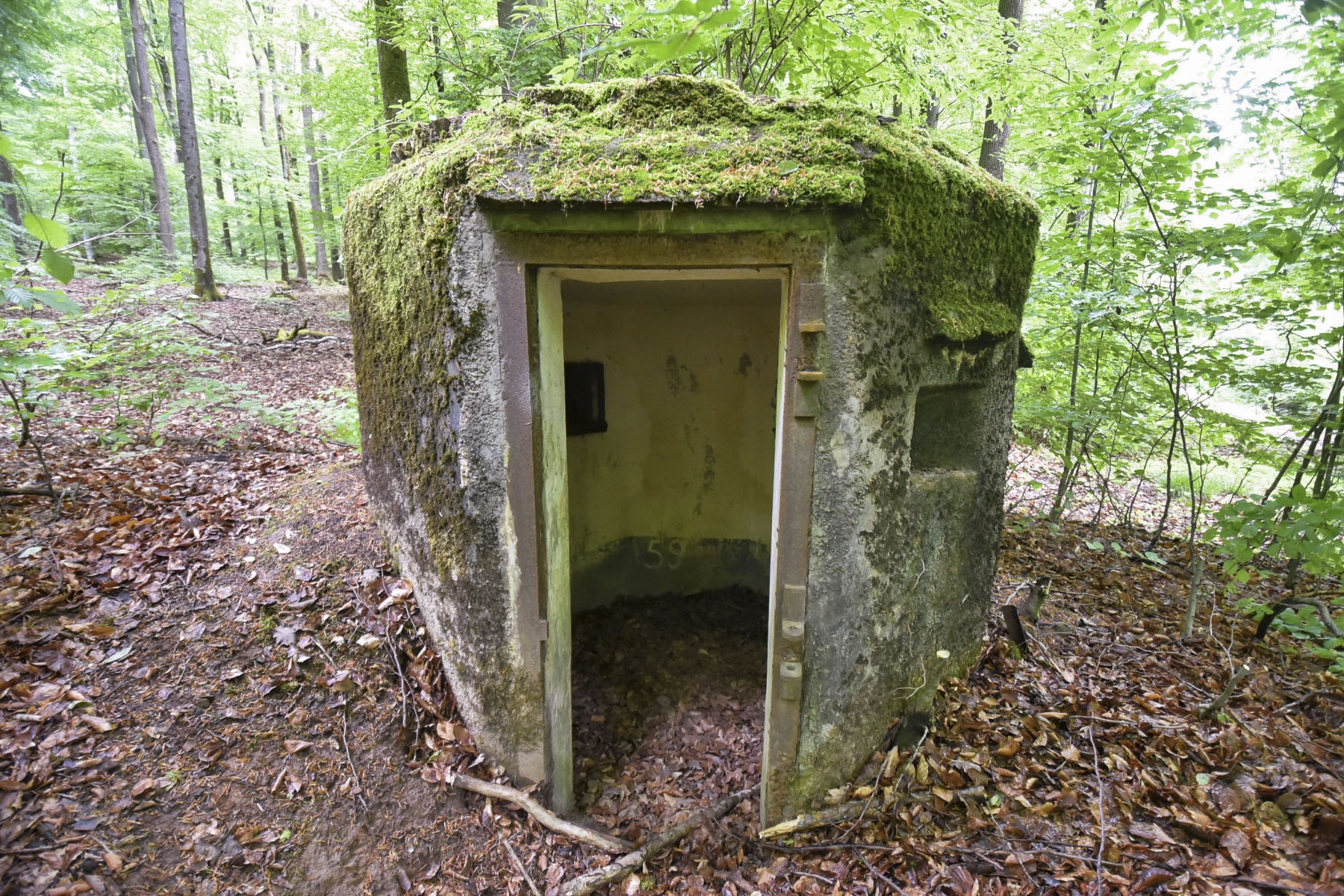 Ligne Maginot - FM30 - NONNENHARDT EST 2 - (Blockhaus pour arme infanterie) - 