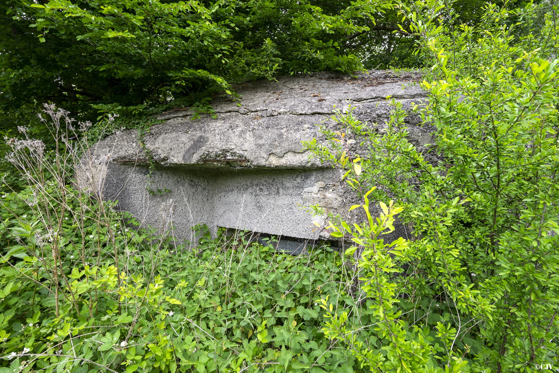 Ligne Maginot - FERME BAR - (Blockhaus pour canon) - Créneau gauche