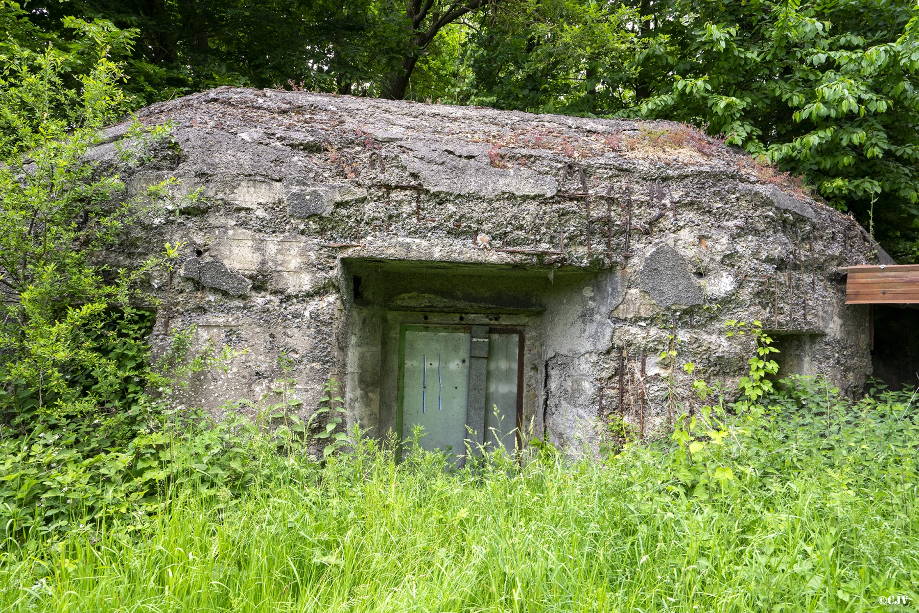 Ligne Maginot - FERME BAR - (Blockhaus pour canon) - L'entrée